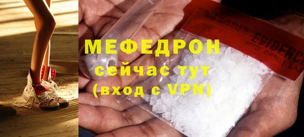 хмурый Аркадак