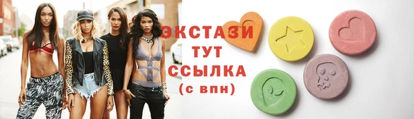 хмурый Аркадак