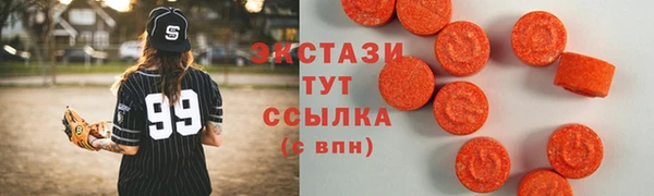 хмурый Аркадак