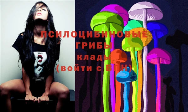 ПСИЛОЦИБИНОВЫЕ ГРИБЫ Алзамай