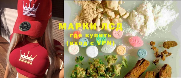 хмурый Аркадак