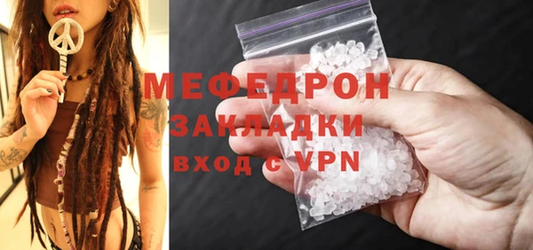 хмурый Аркадак