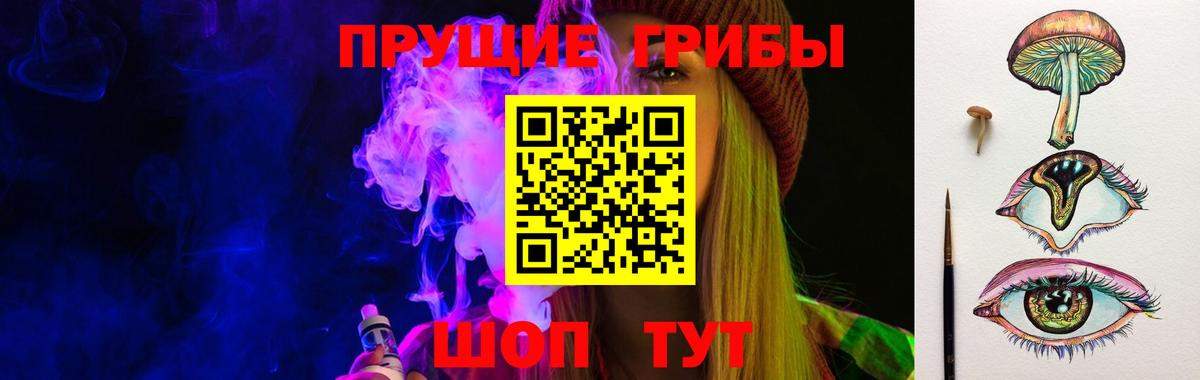 Пушкино  Псилоцибиновые грибы MAGIC MUSHROOMS  Вход с VPN  Псилоцибиновые грибы мицелий 